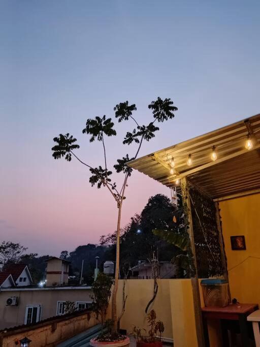 Casa Zoila Hospedaje Frente Al Lago Lakefront Lodging Apartment Flores Exterior photo